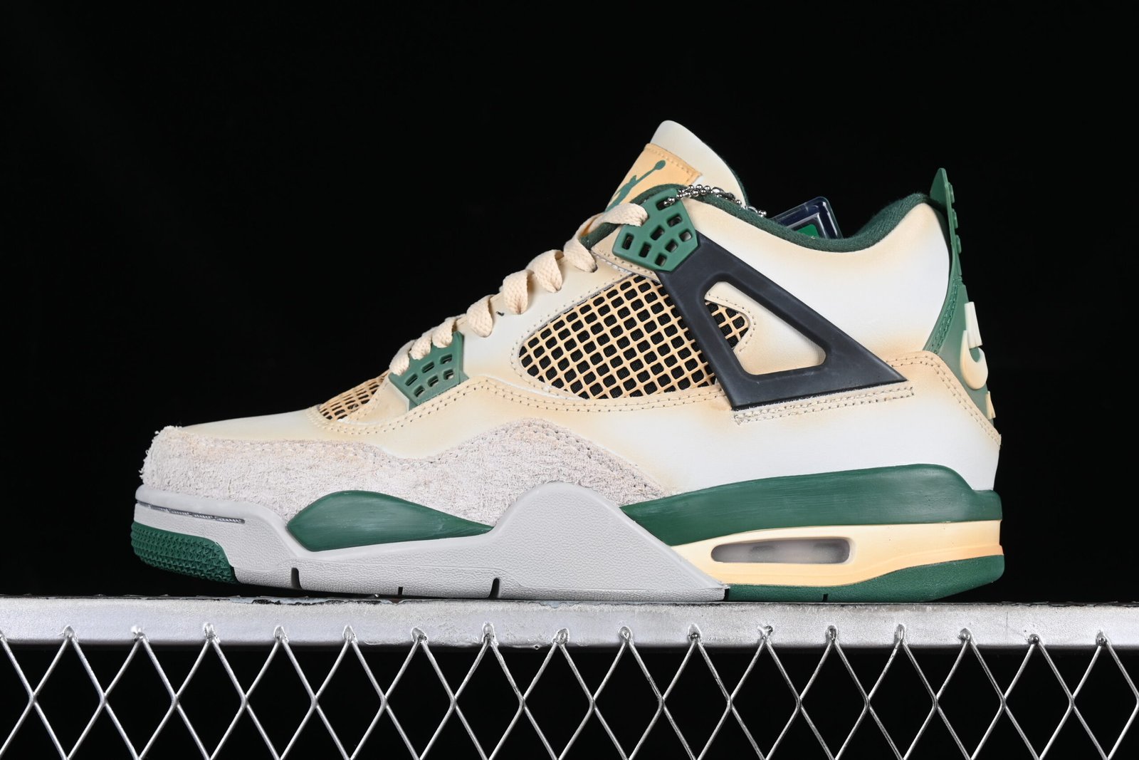 AIR JORDAN 4 x Bulbasaur