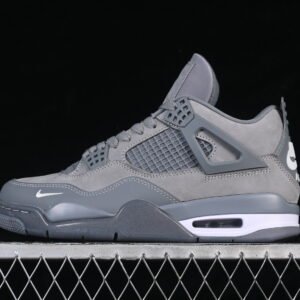 AIR JORDAN 4 x Nigel Sylvester "Grey"