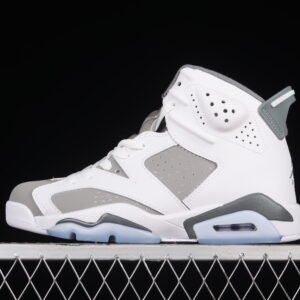 AIR JORDAN 6  "Cool Grey"